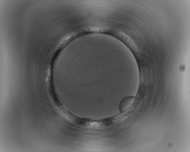 X0000099300163200805231349