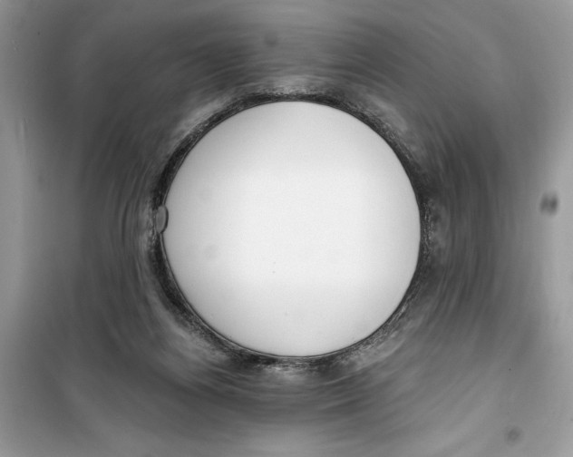 X0000099300164200805231349