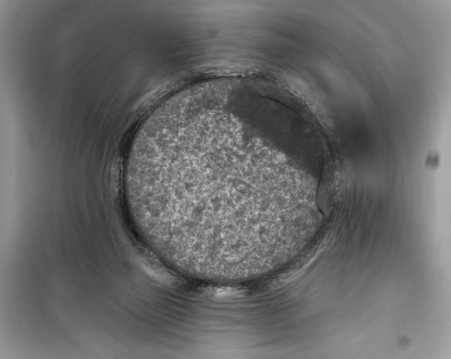 X0000099300165200805231349