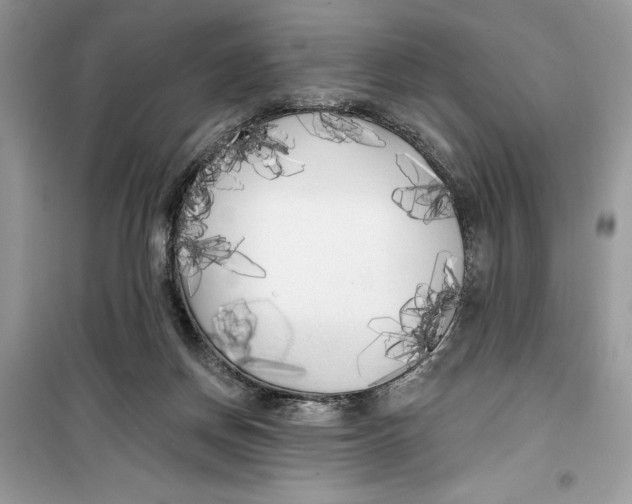 X0000099300166200805231349