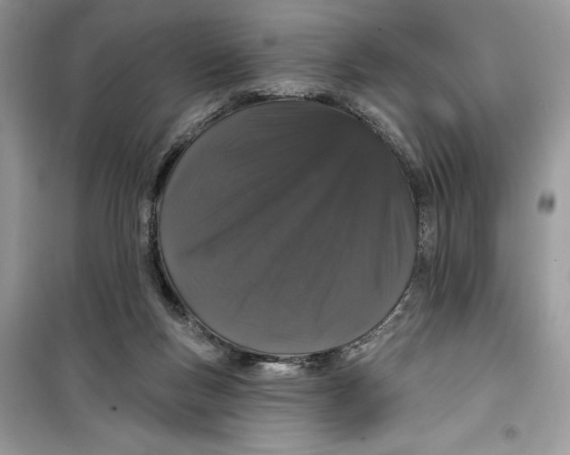 X0000099300167200805231350