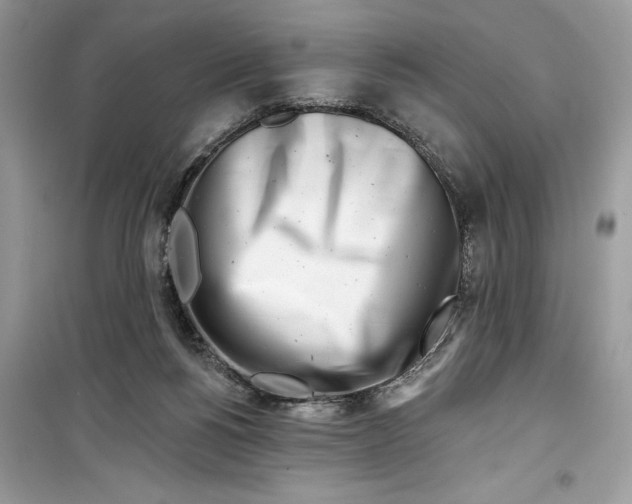 X0000099300168200805231350