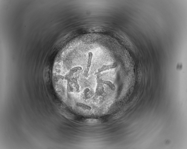 X0000099300169200805231350