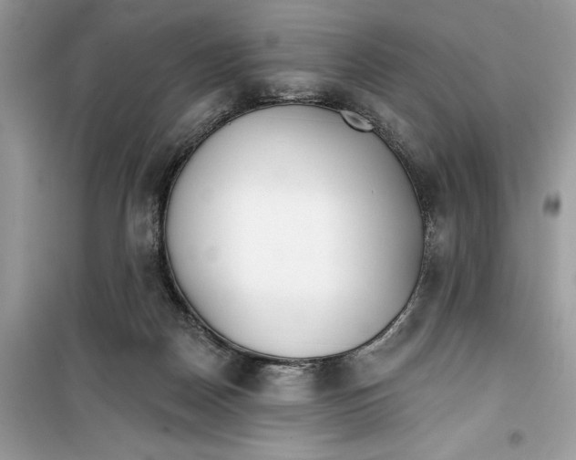 X0000099300170200805231350