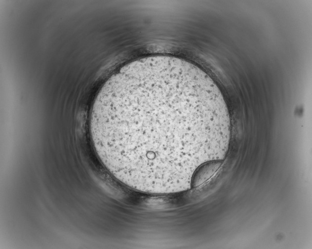 X0000099300171200805231350