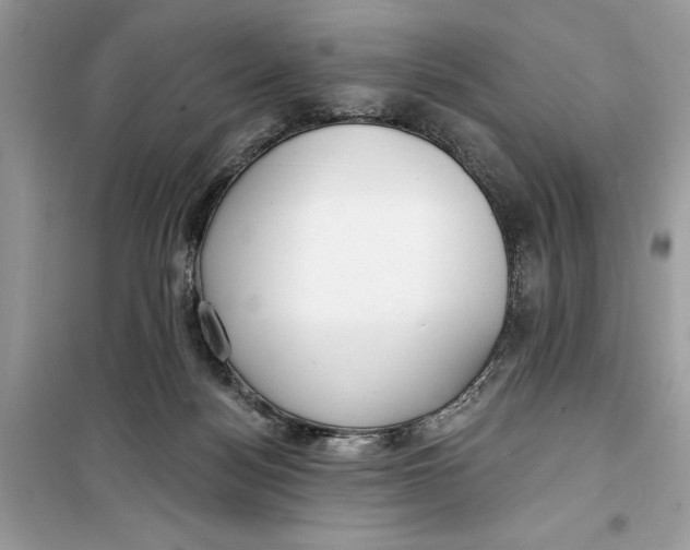 X0000099300172200805231350