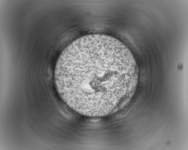 X0000099300173200805231350