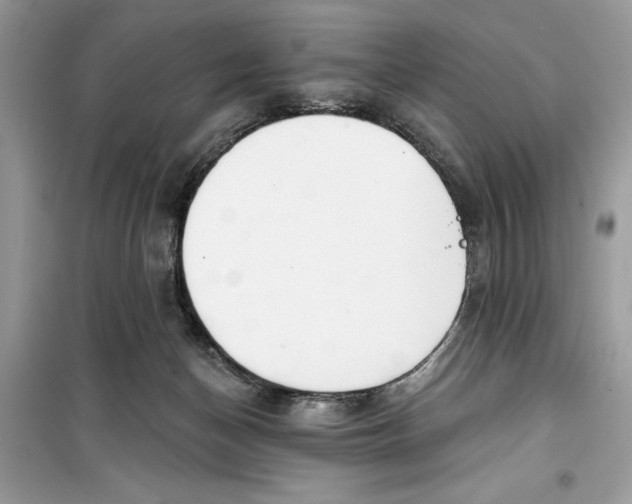 X0000099300174200805231350