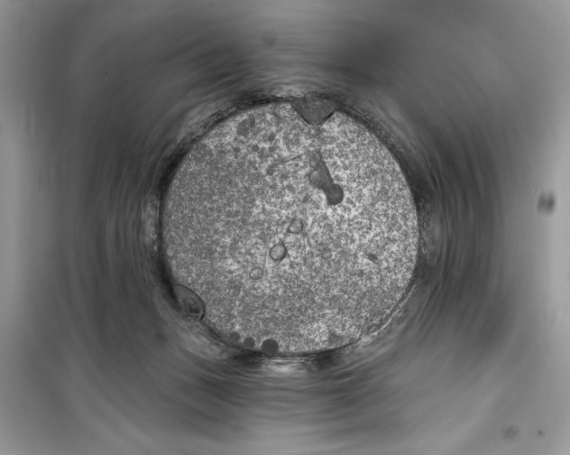 X0000099300175200805231350