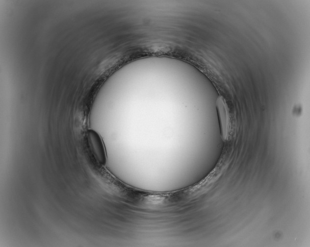 X0000099300176200805231350