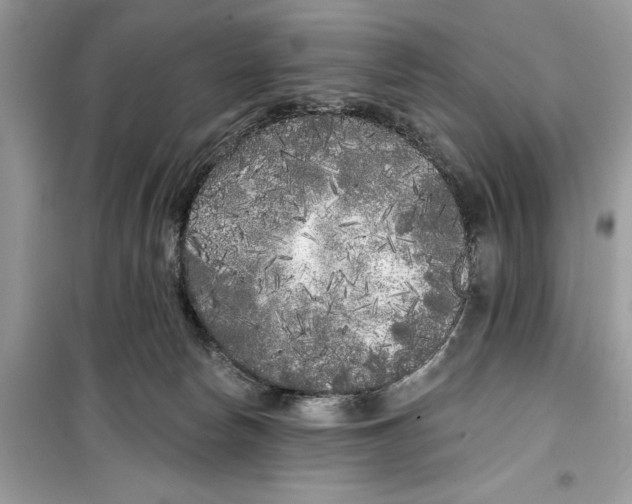 X0000099300178200805231350