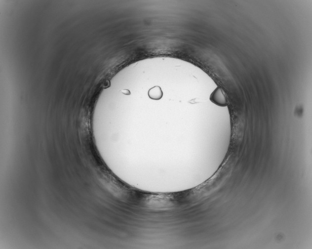 X0000099300179200805231350