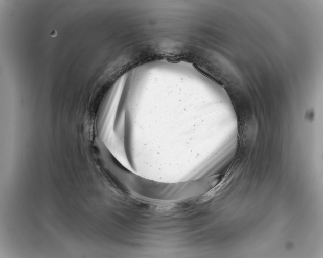 X0000099300180200805231350