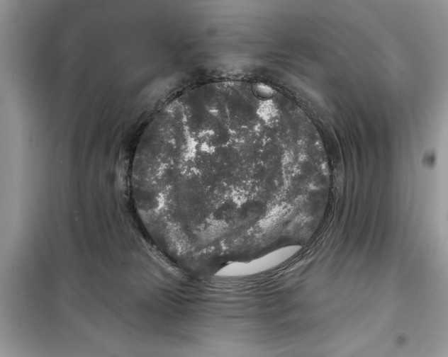 X0000099300181200805231350