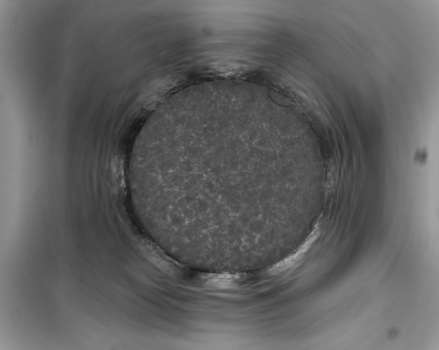 X0000099300182200805231350