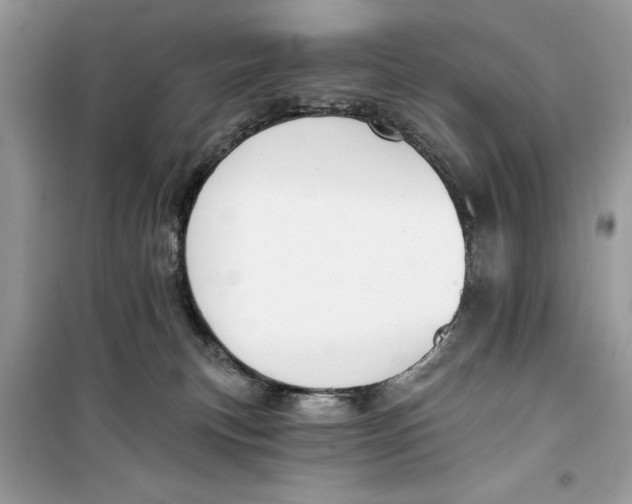 X0000099300183200805231350