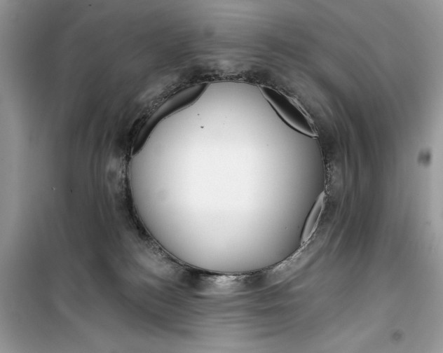 X0000099300184200805231350