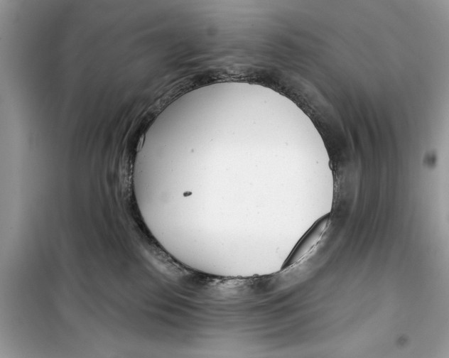 X0000099300186200805231350