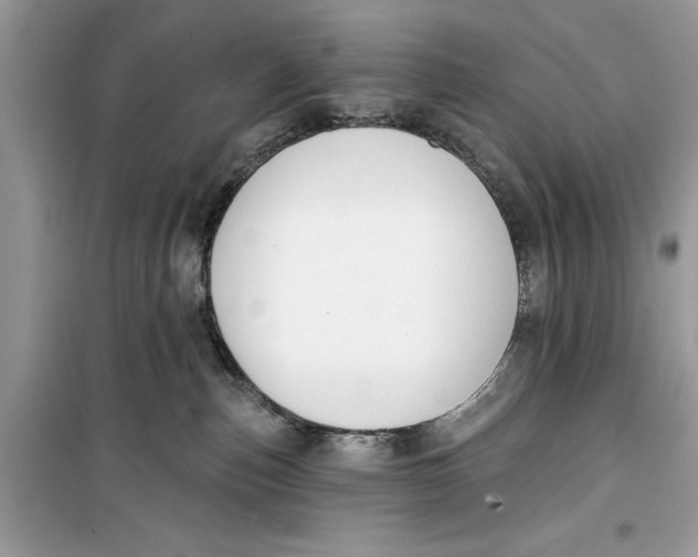 X0000099300187200805231350