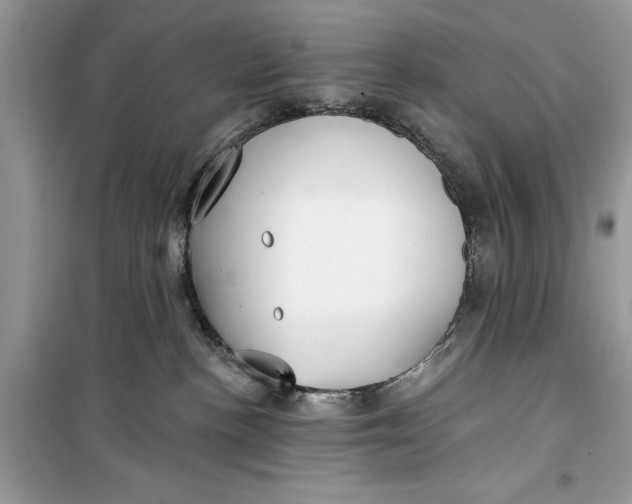 X0000099300188200805231350