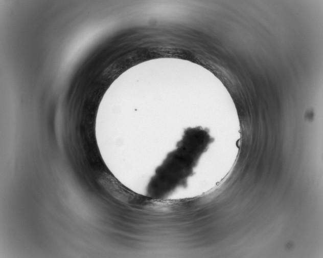 X0000099300190200805231350