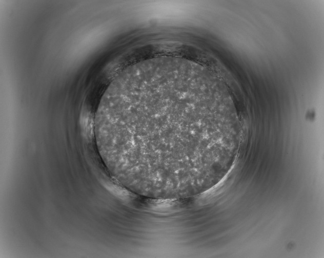 X0000099300191200805231350