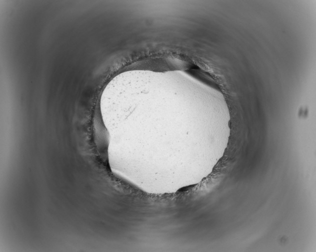 X0000099300192200805231350