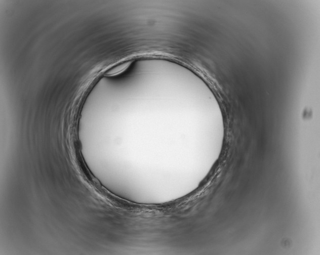 X0000099300193200805231349