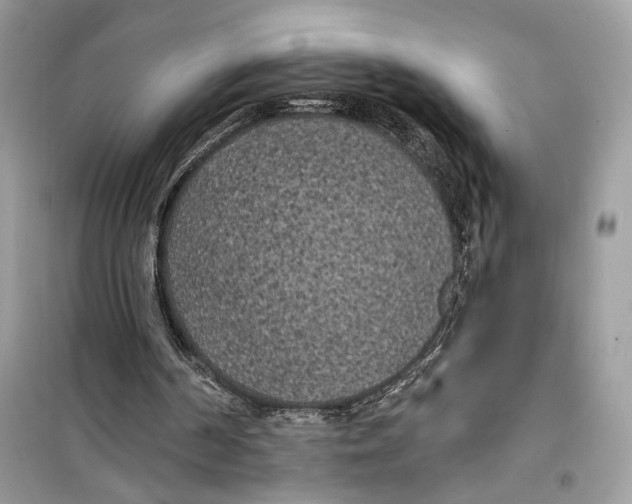 X0000099300194200805231349