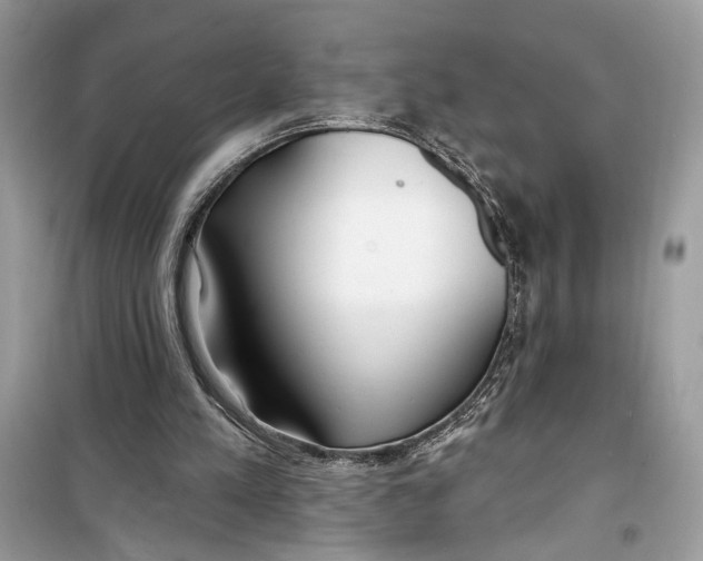 X0000099300197200805231349