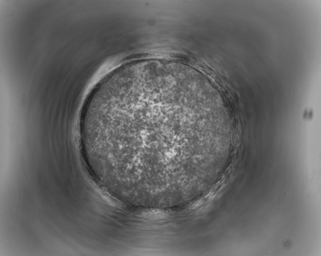 X0000099300198200805231349