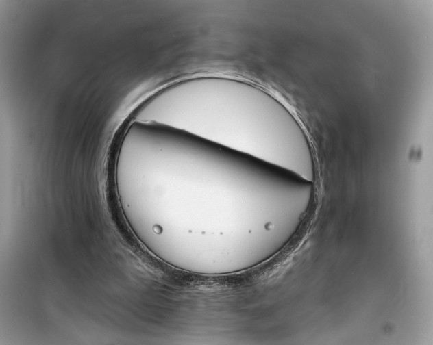 X0000099300199200805231349