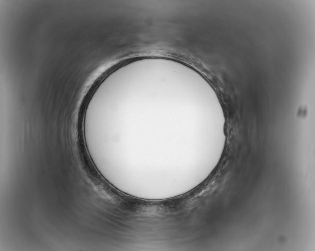 X0000099300200200805231349