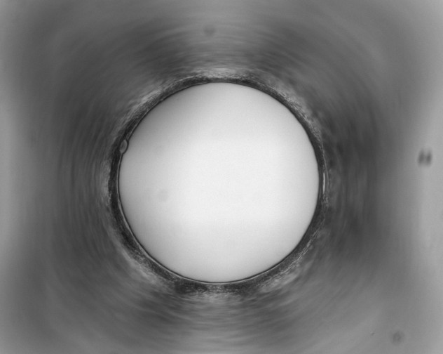 X0000099300201200805231349