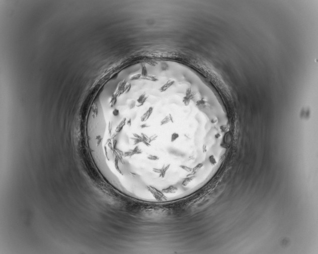 X0000099300202200805231349