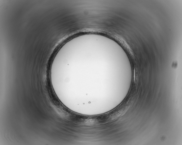 X0000099300204200805231349