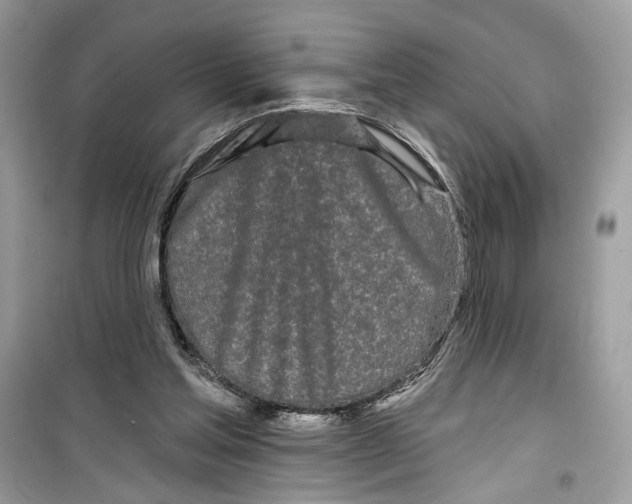 X0000099300205200805231349