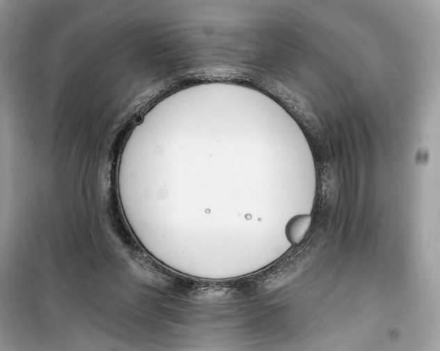 X0000099300206200805231349