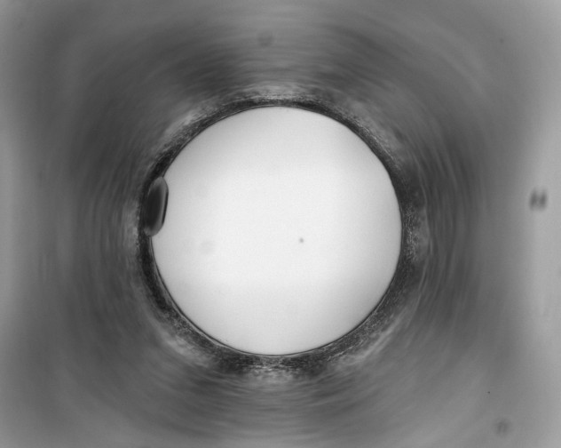 X0000099300207200805231349