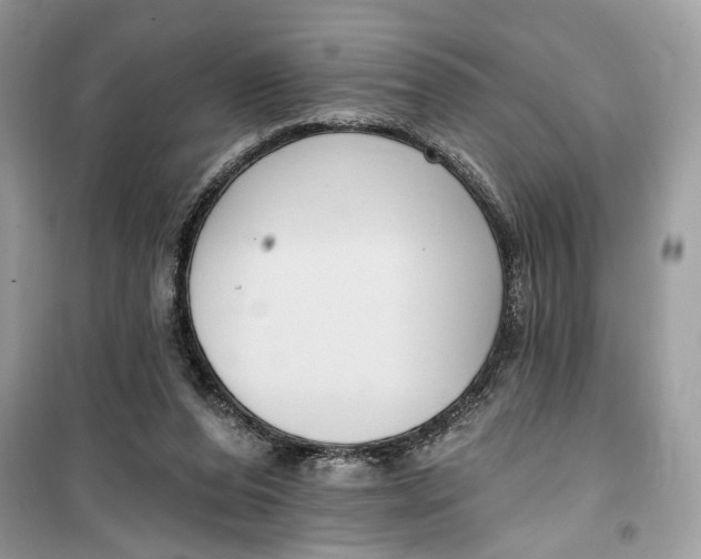 X0000099300208200805231349