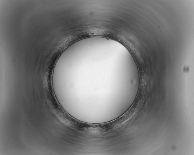 X0000099300209200805231349