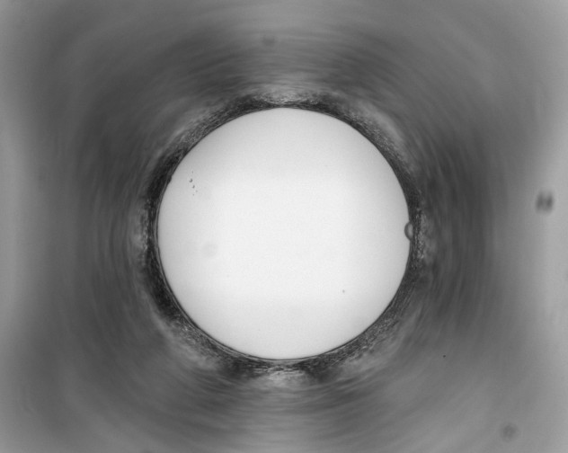 X0000099300210200805231349