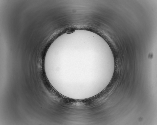 X0000099300212200805231349