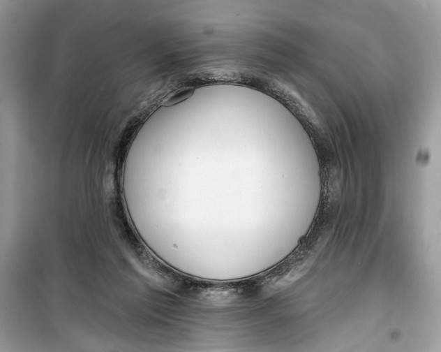 X0000099300213200805231349