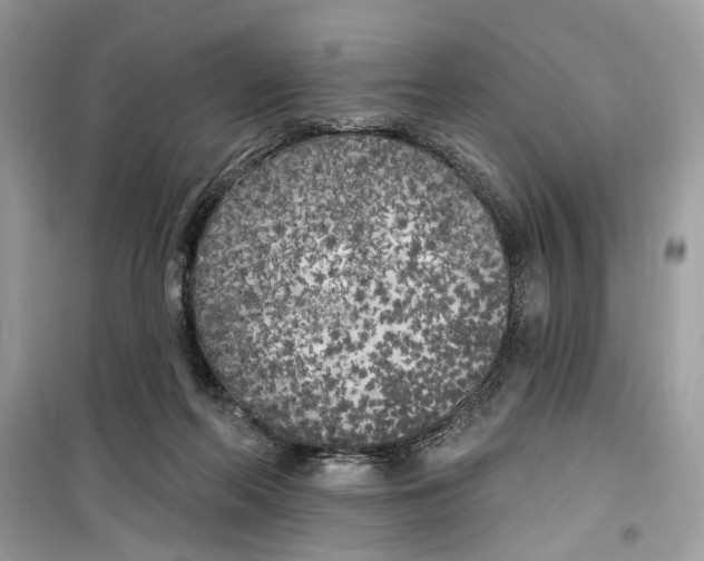 X0000099300214200805231349