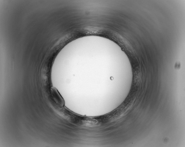 X0000099300215200805231349