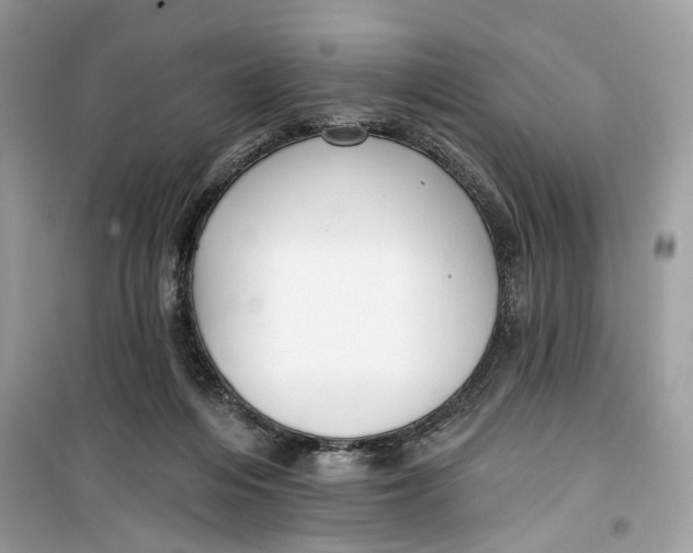 X0000099300216200805231349