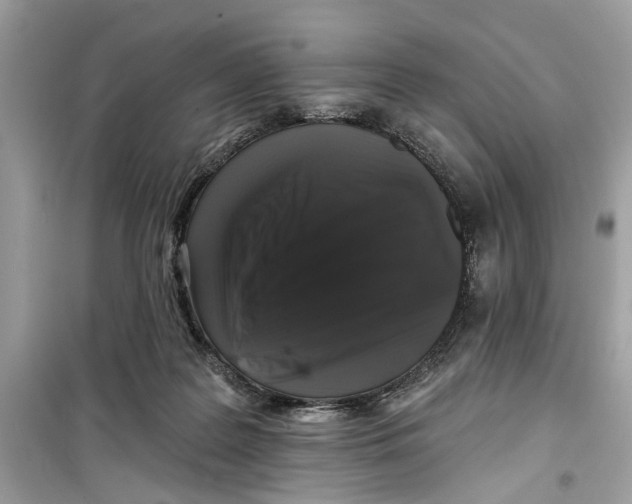 X0000099300219200805231349