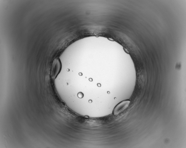 X0000099300221200805231349