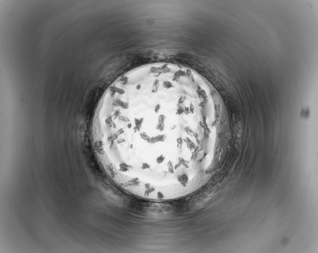 X0000099300222200805231349